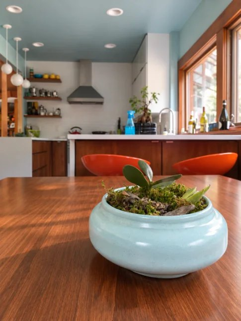 Midcentury reno, Leonardo Silva Architecture